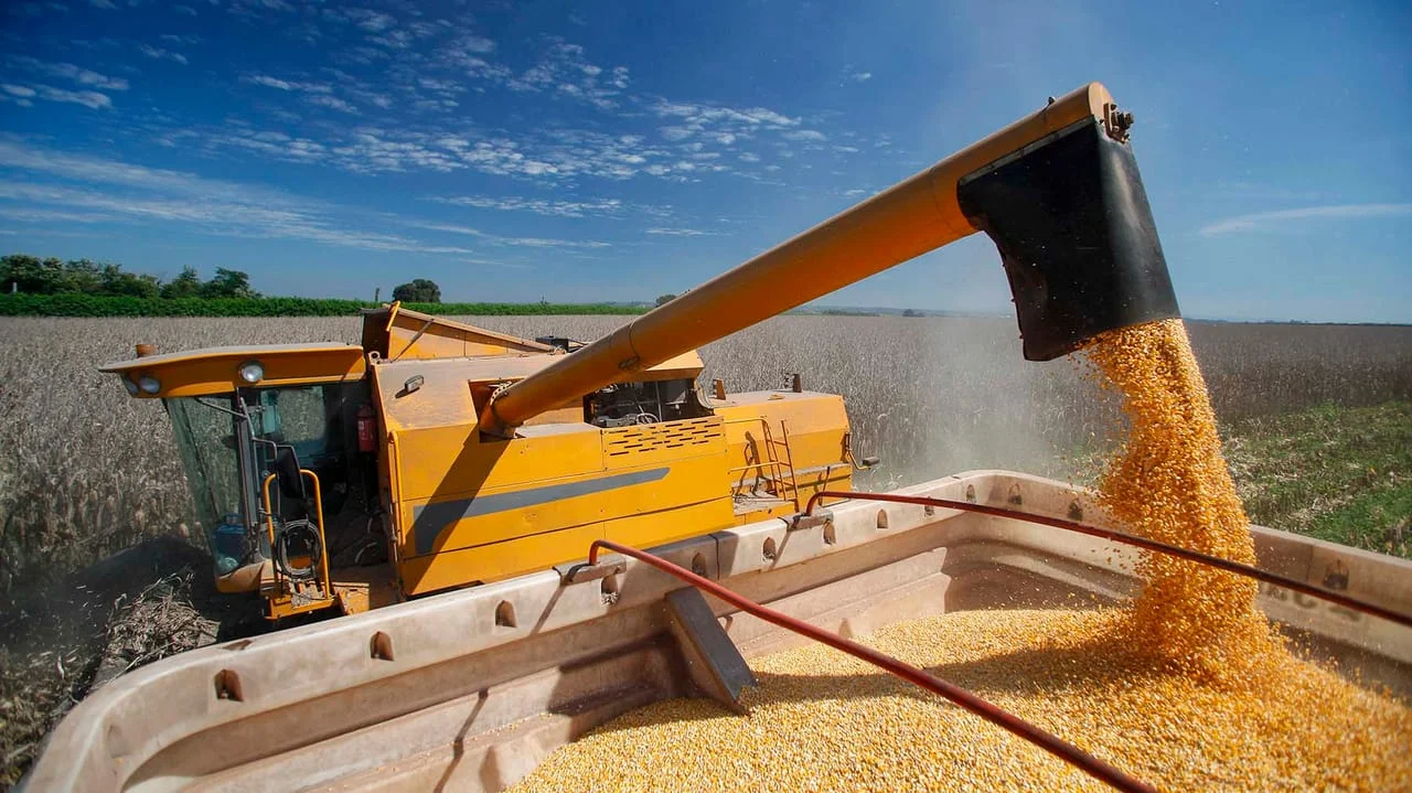 Agriculture · Grain & Milling Products